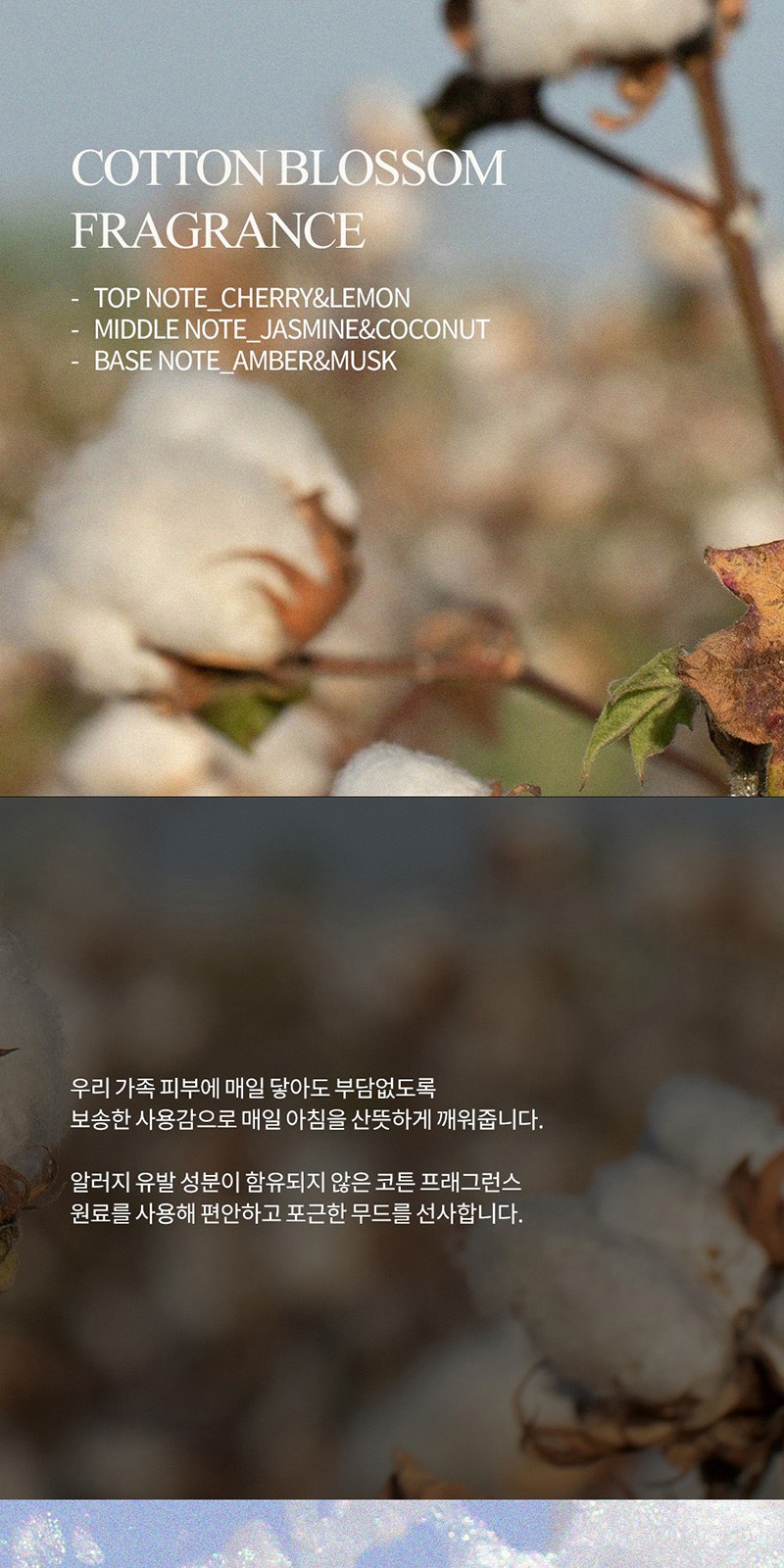 레스쁘리 스페셜 설 세트 A (새해복 타올 130g+코튼버블 클렌저 290ml) 상세 이미지