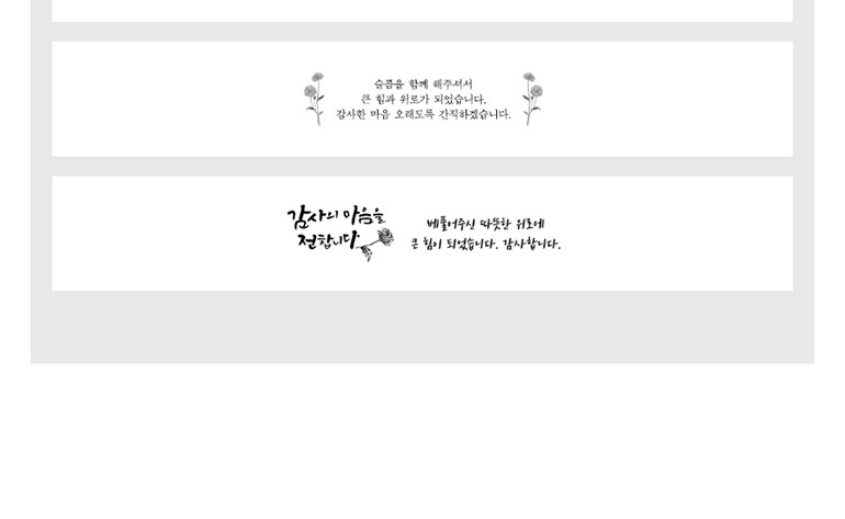 [메이드써니] 호텔 세면타올 모달 40수 170g + 핸드워시 250ml 상세 이미지